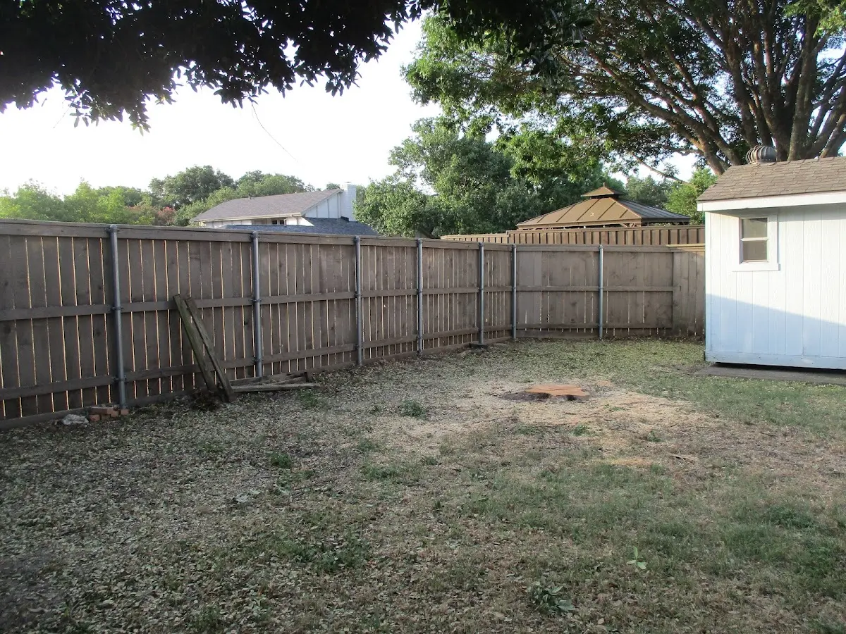 Cleared yard after professional tree removal in Ayrshire