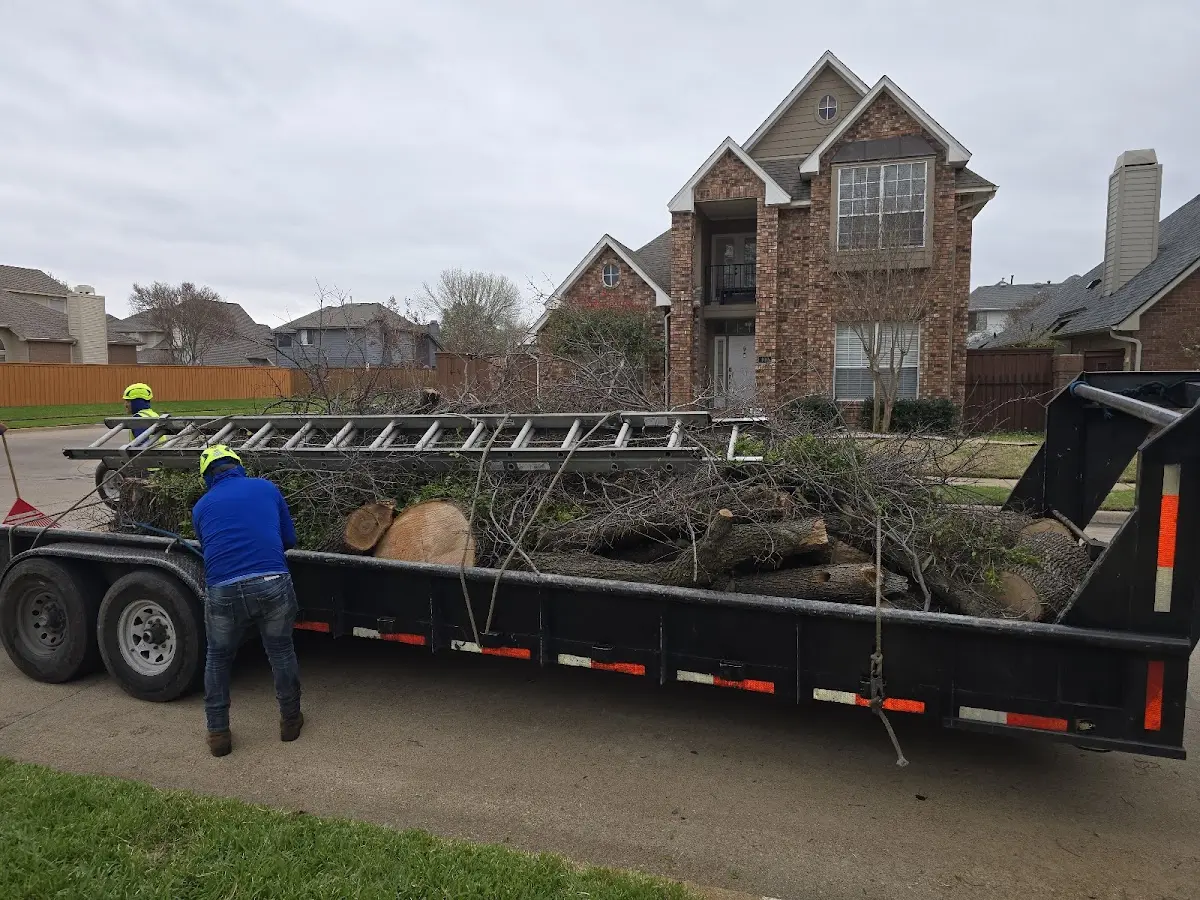 Expert Tree Fertilization with proper safety equipment in Ayrshire